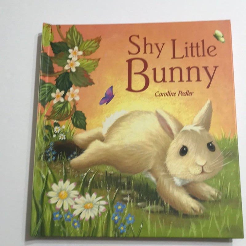 The Shy Little Bunny