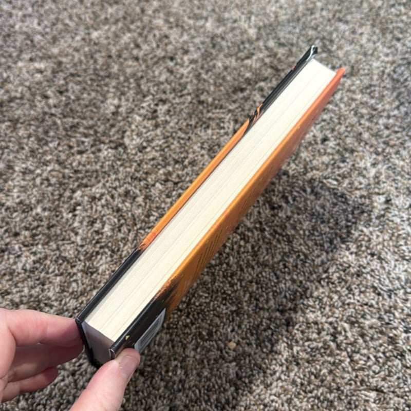 What the Fireflies Knew