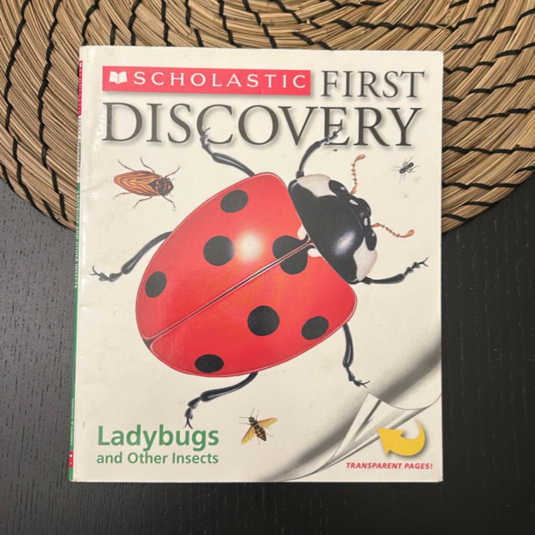 Ladybugs and Other Insects