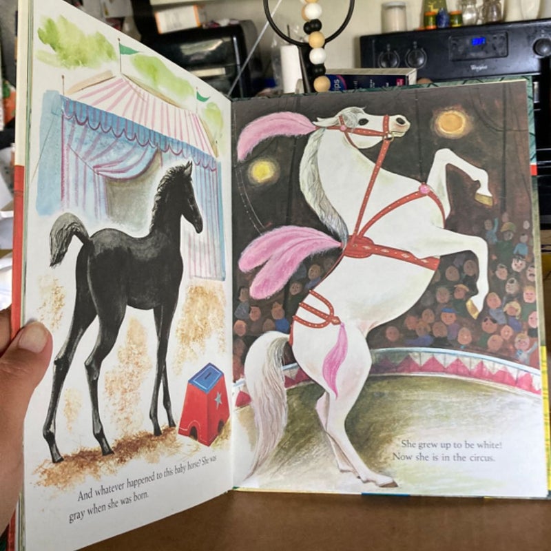 Whatever Happens to Baby Horses?