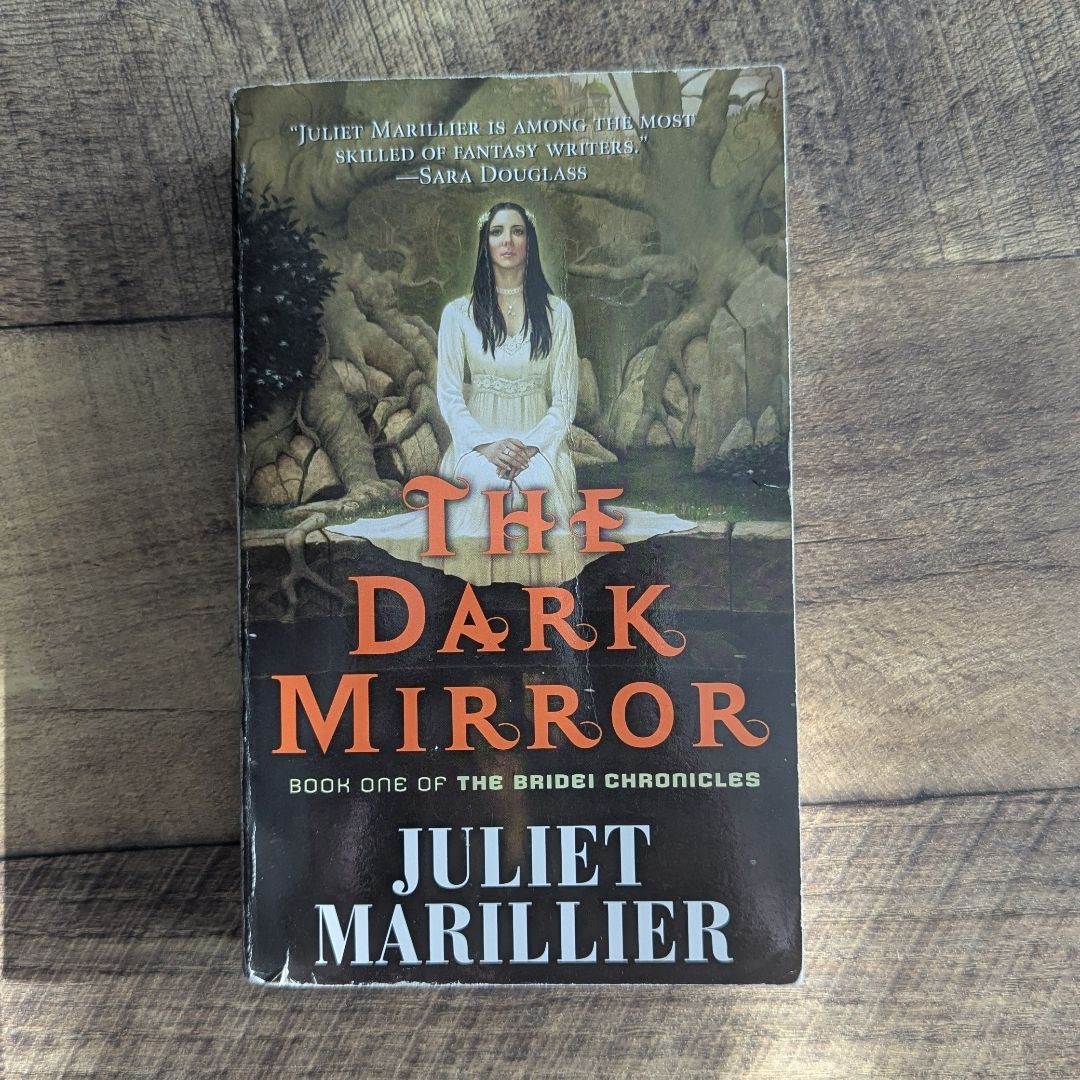 The Dark Mirror