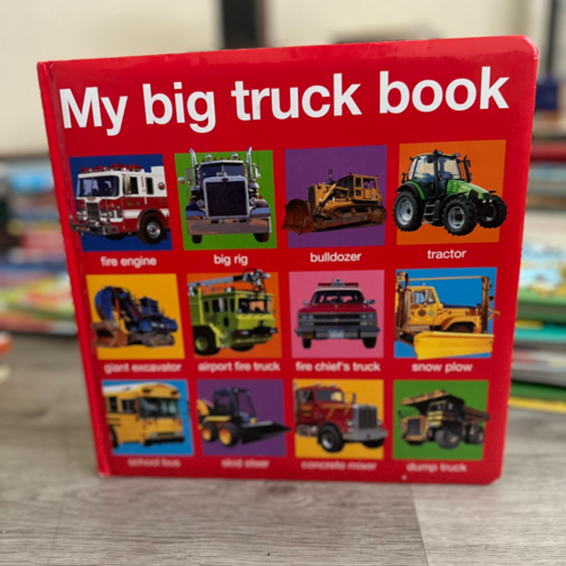 My Big Truck Book