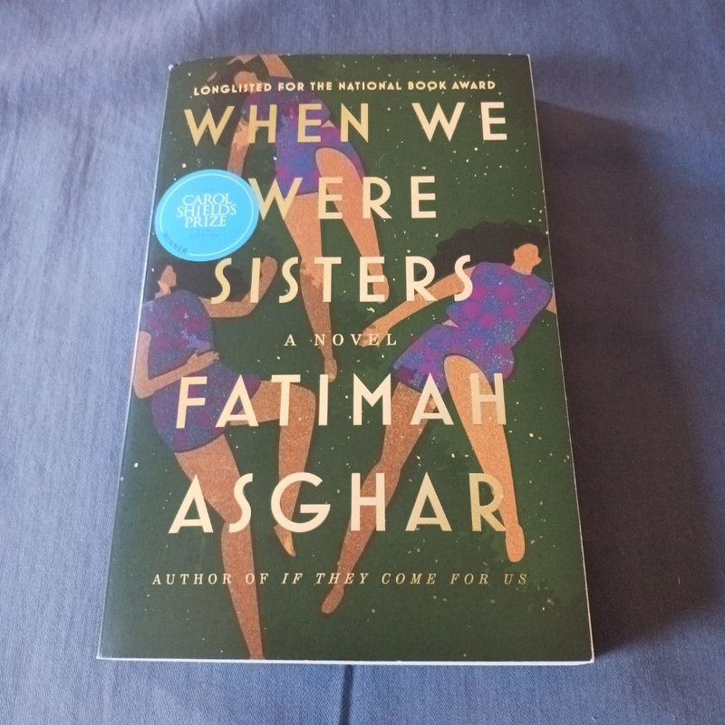 When We Were Sisters