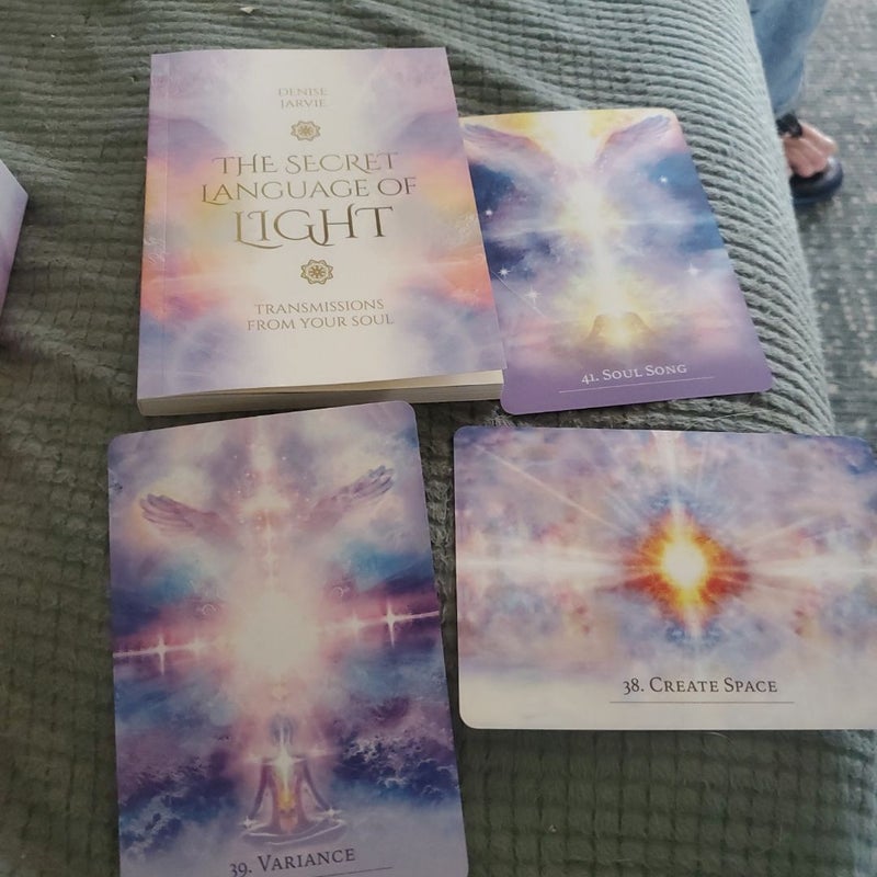 The Secret Language of Light by Denise Jarvie, Daniel B. Holeman