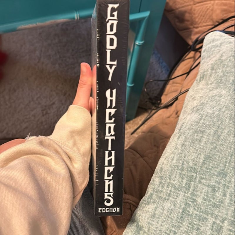 *Bookish box* Godly Heathens 