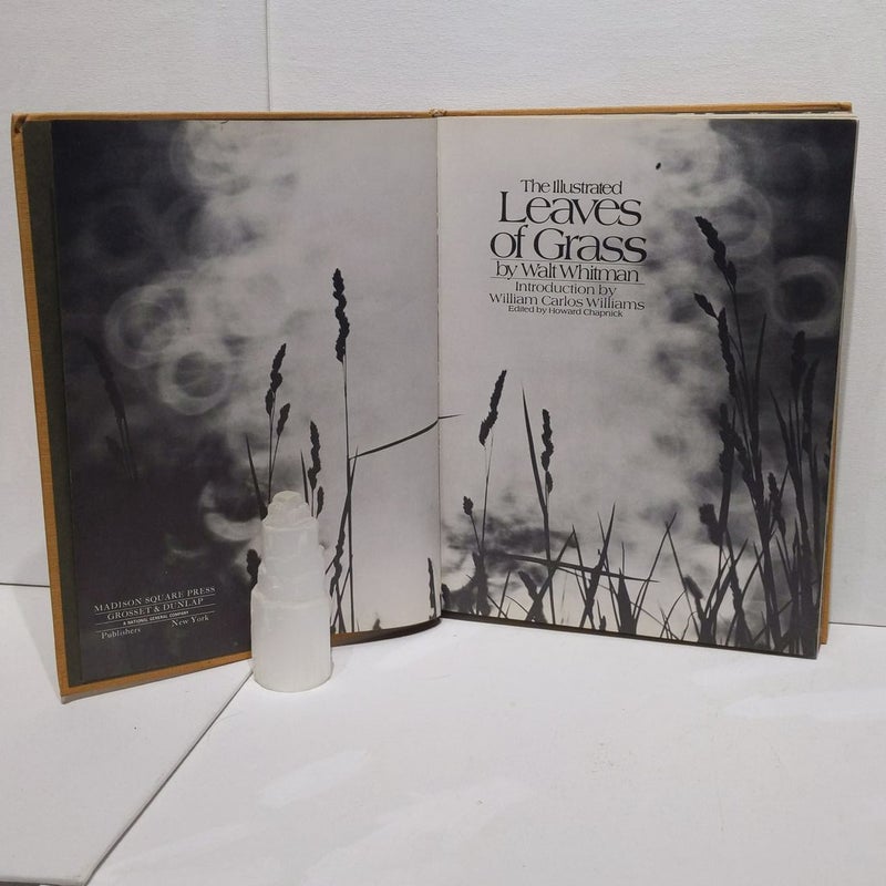 The Illustrated Leaves of Grass