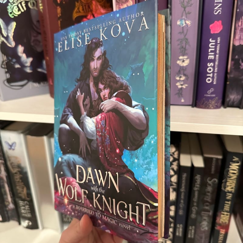 A Dawn with the Wolf Knight