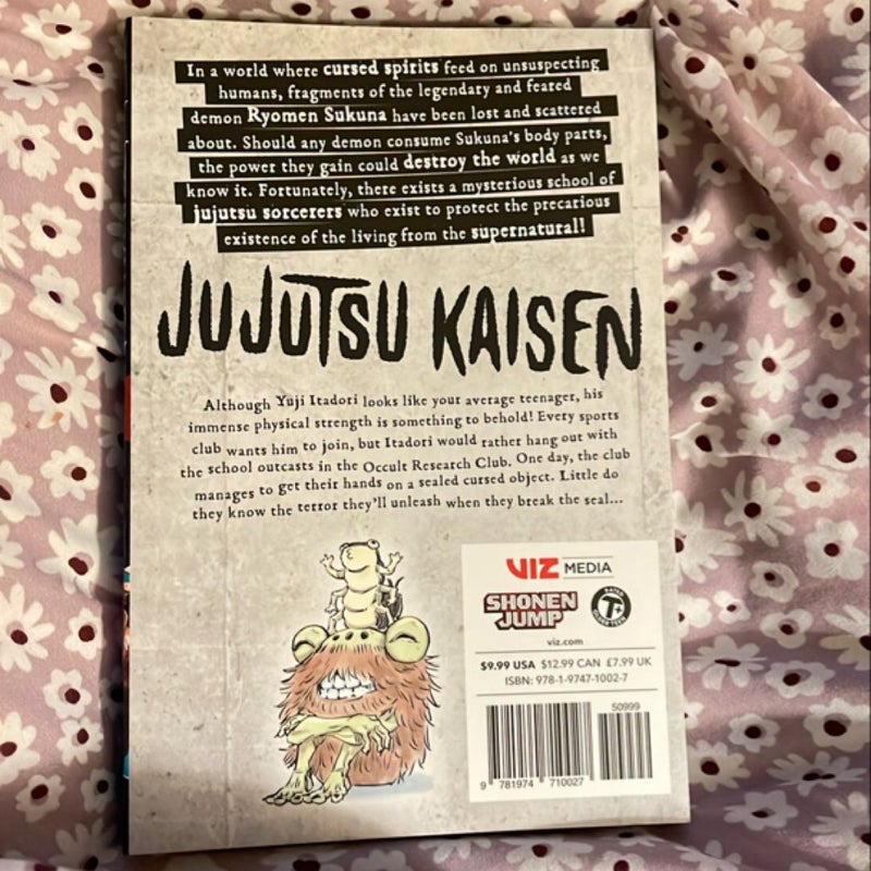 Jujutsu Kaisen, Vol. 1