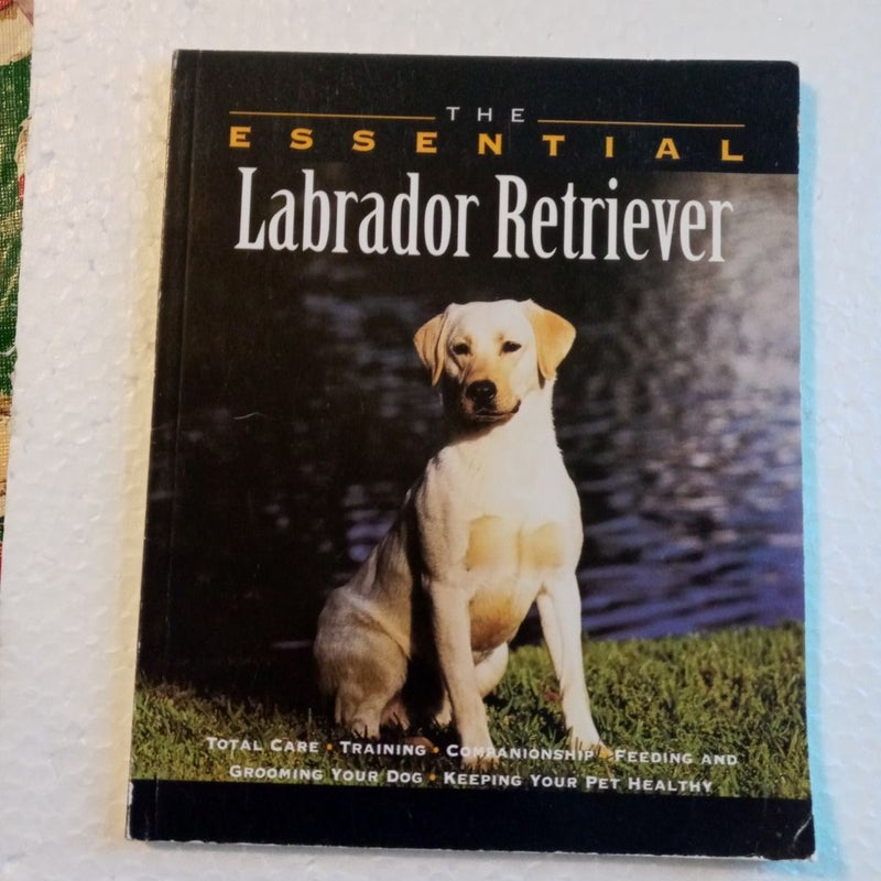 The Essential Labrador Retriever