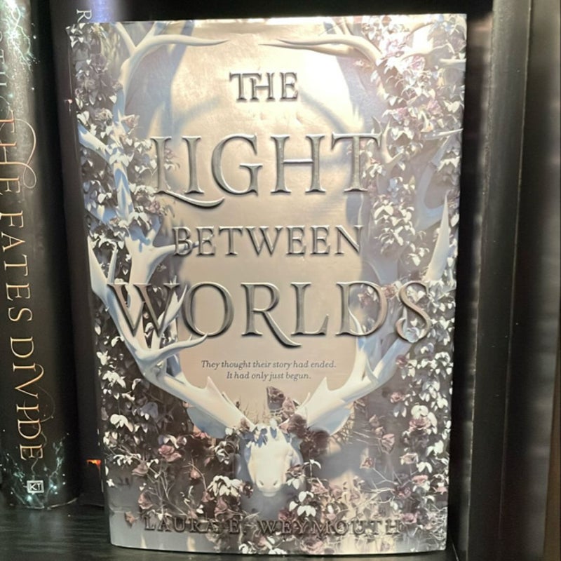 The Light Between Worlds