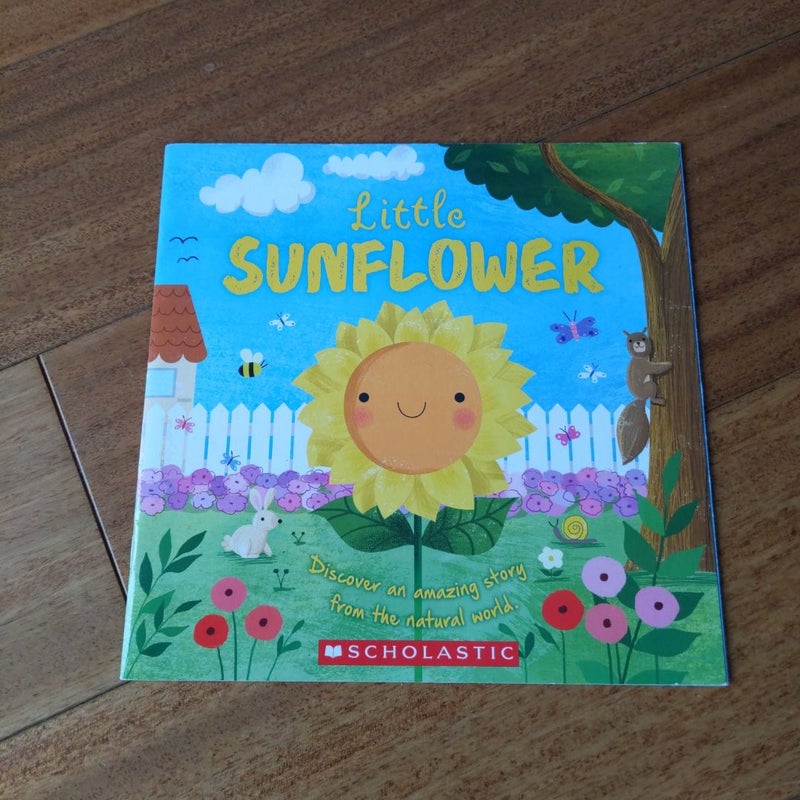 Little Sunflower 