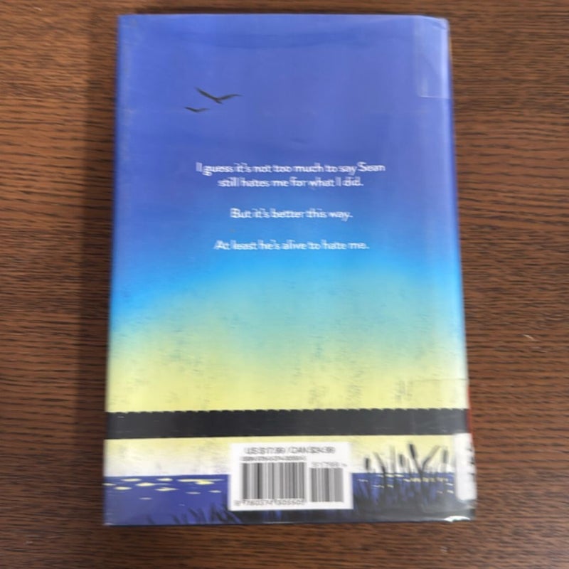 The Summer of Owen Todd