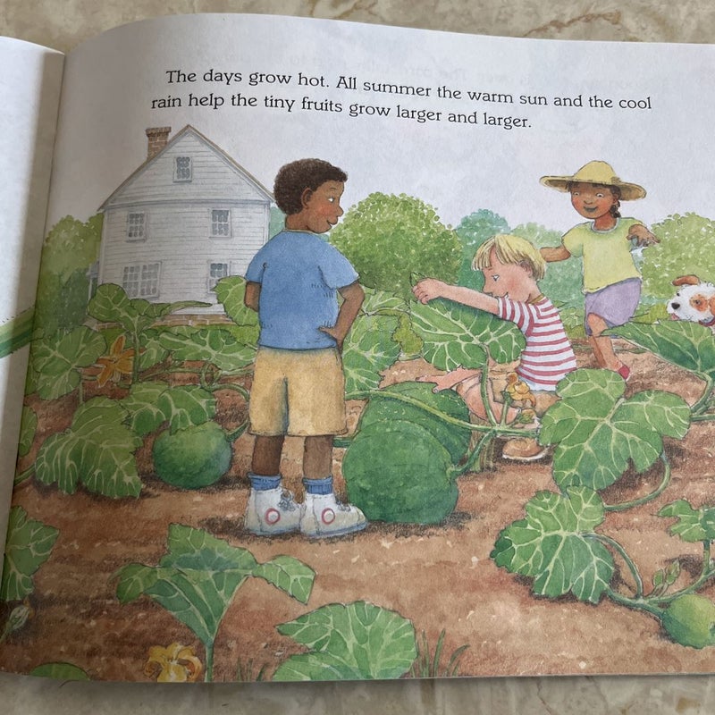 From Seed to Pumpkin 