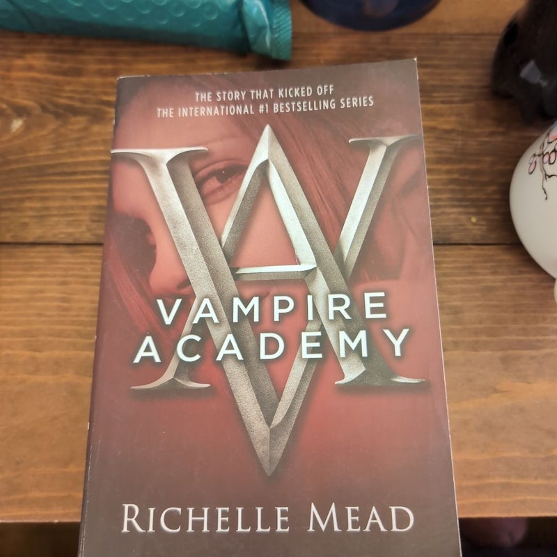 DO NOT BUY RESERVED LISTING Vampire Academy