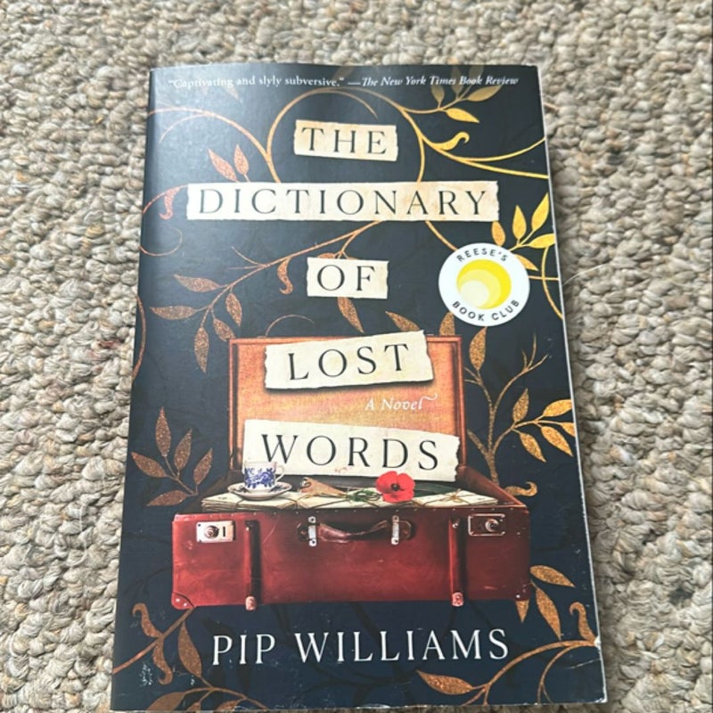 The Dictionary of Lost Words