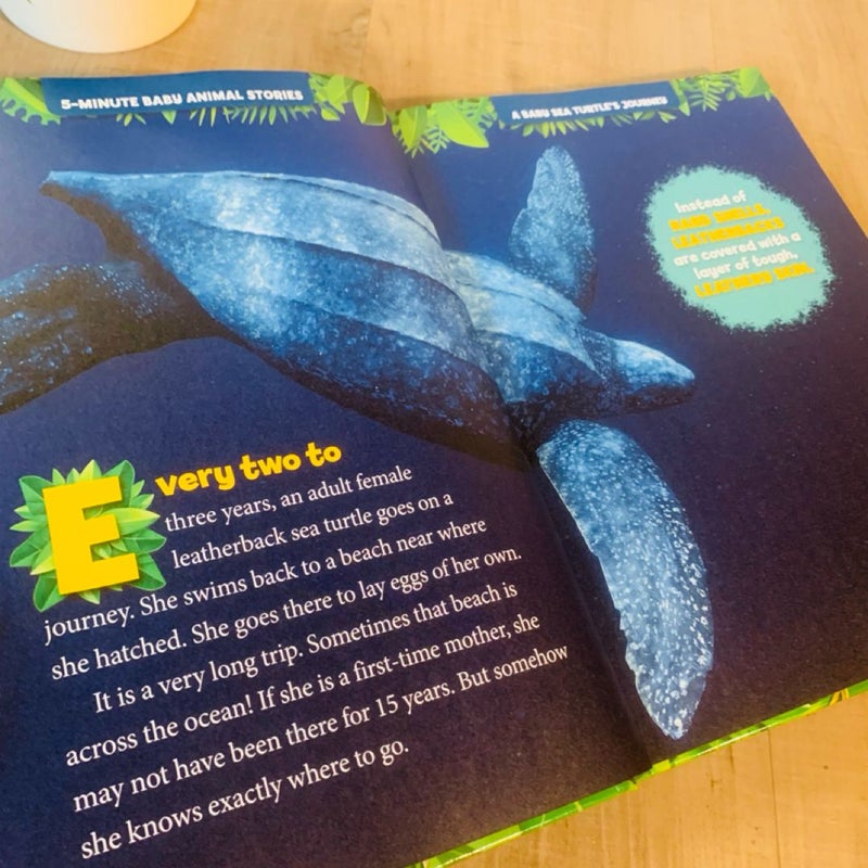National Geographic Kids 5-Minute Baby Animal Stories