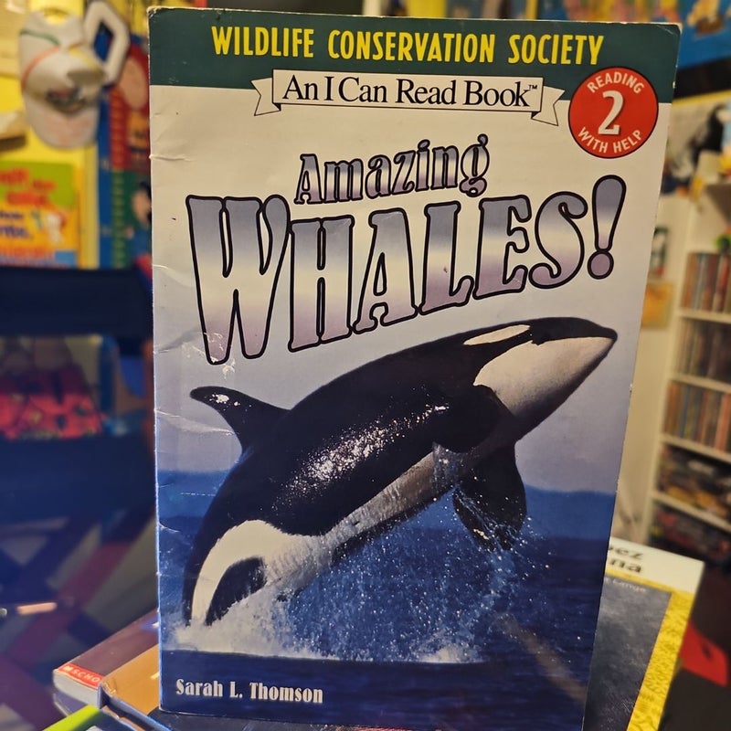 Amazing Whales!