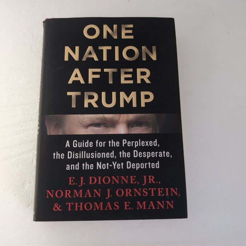 One Nation after Trump