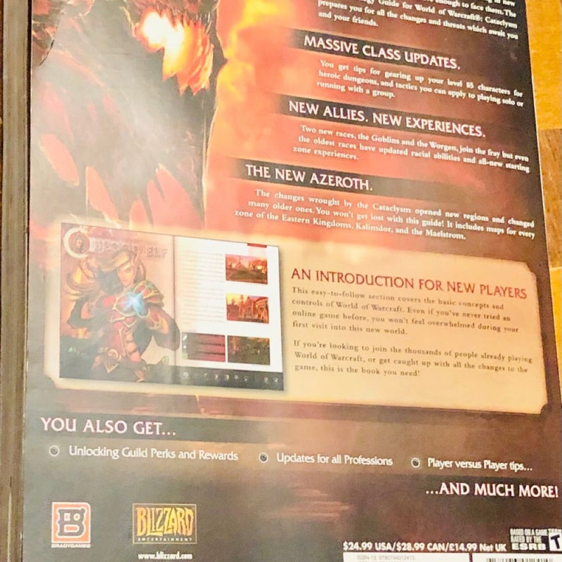 World of WARCRAFT: Cataclysm edition 2010 Gaming retro vintage book