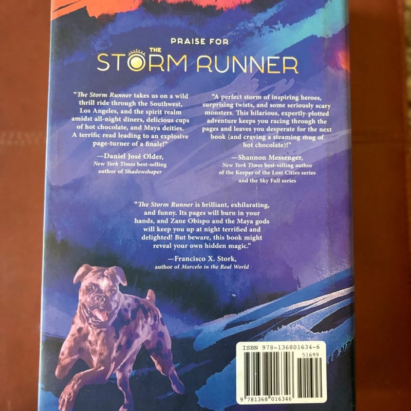 The Storm Runner (a Storm Runner Novel, Book 1)