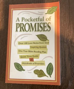 Pocketful of Promises - Original