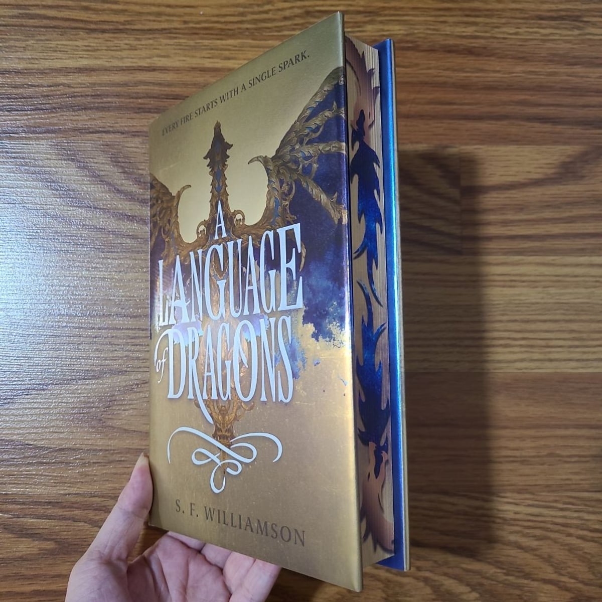 A Language of Dragons by S. F. Williamson, Hardcover Pangobooks