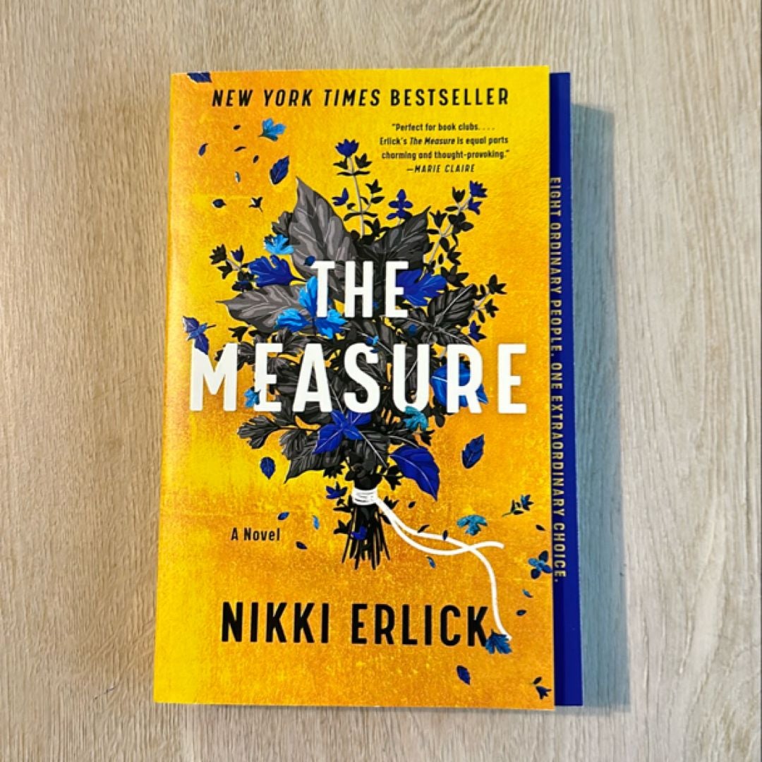 The Measure by Nikki Erlick, Paperback Pangobooks