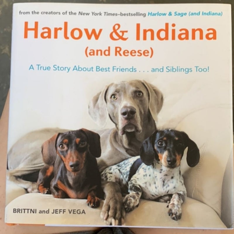 Harlow and Indiana (and Reese)