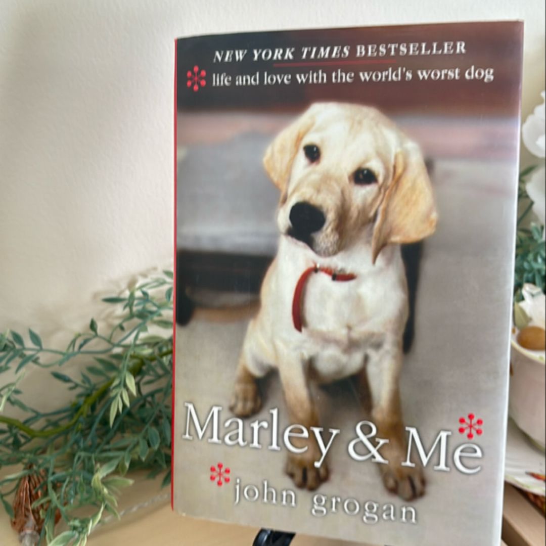 Sale image for 29ff03a8-bf2f-4a36-8bf3-f7bbf62b49da-XAtBO9rptacOKqLIQKQkaxwJn6n1