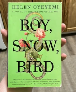 Boy, Snow, Bird