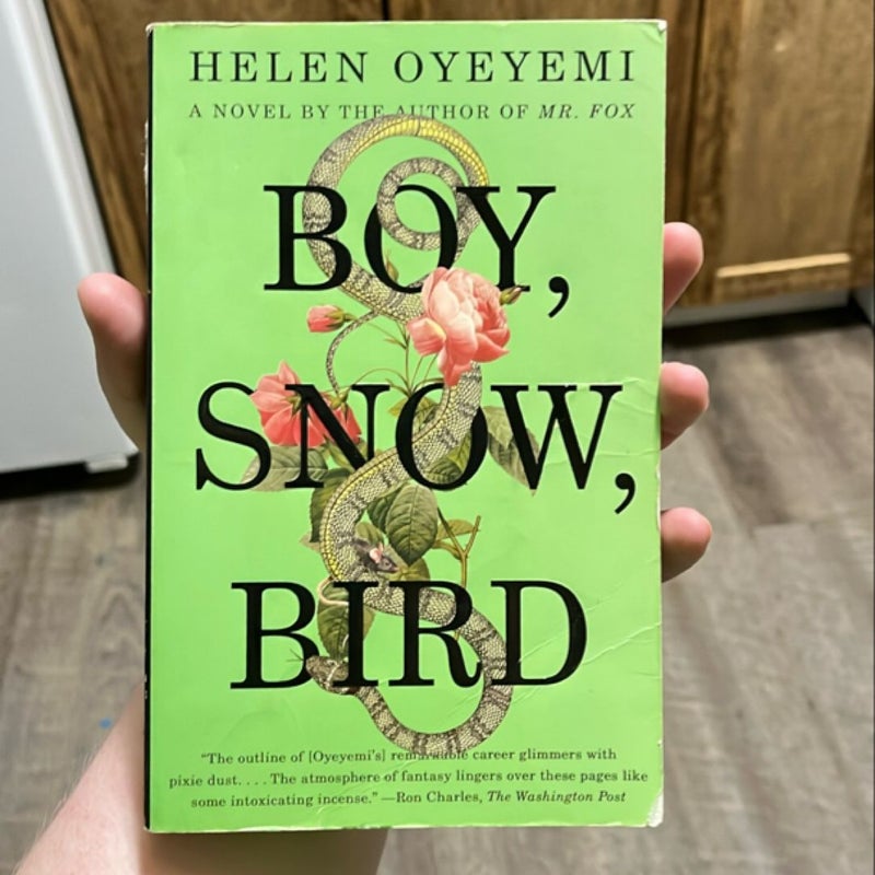 Boy, Snow, Bird