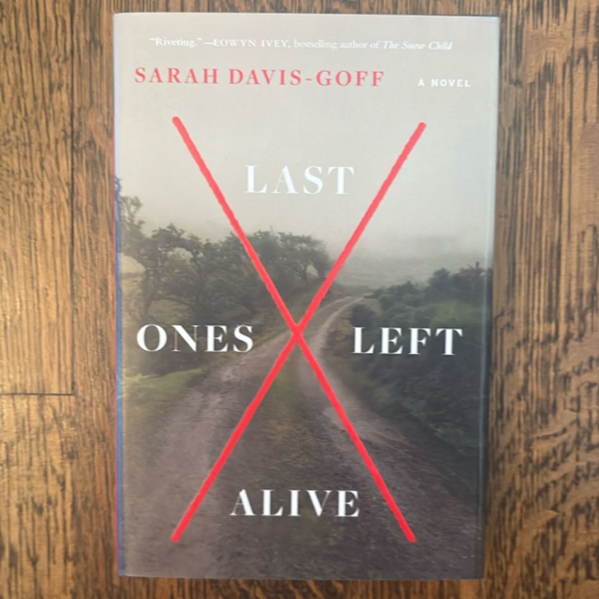 Last Ones Left Alive by Sarah Davis-Goff
