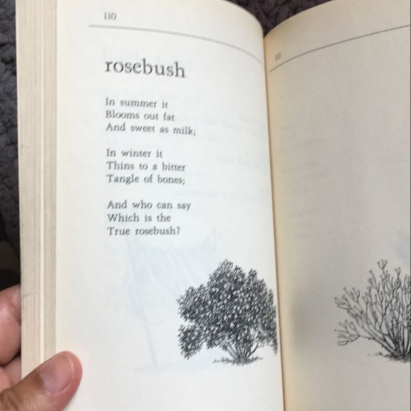 All the Small Poems and Fourteen More