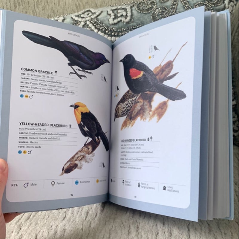 A Field Guide to Backyard Birds of North America