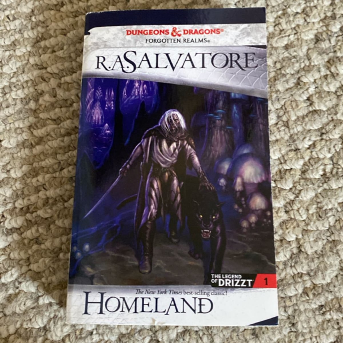 Homeland by R. A. Salvatore