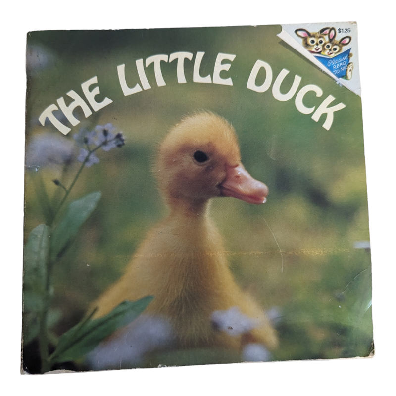 The Little Duck