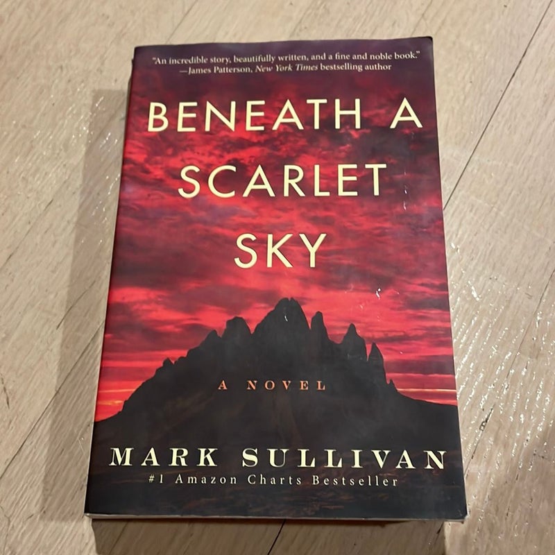 Beneath a Scarlet Sky