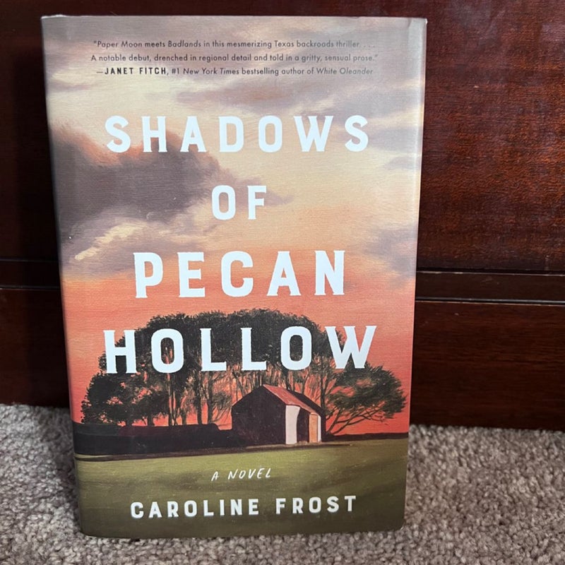 Shadows of Pecan Hollow