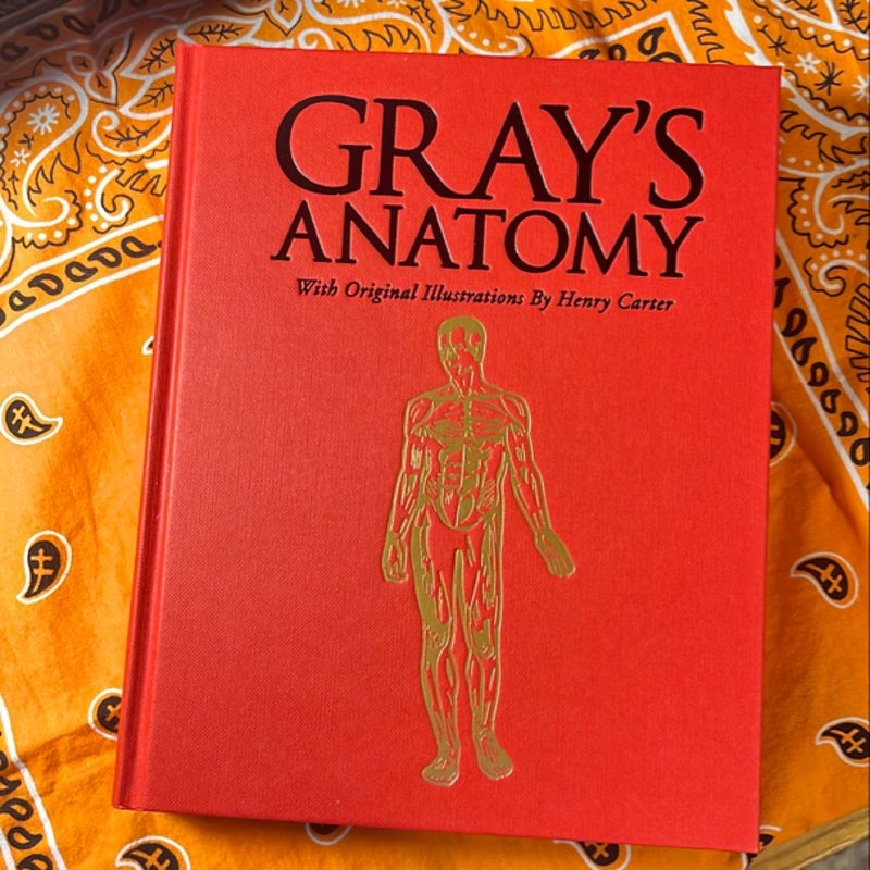 Gray's Anatomy