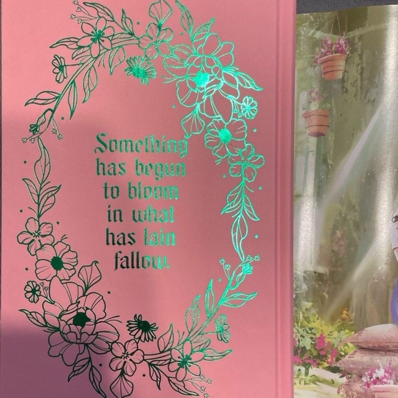 A Fragile Enchantment