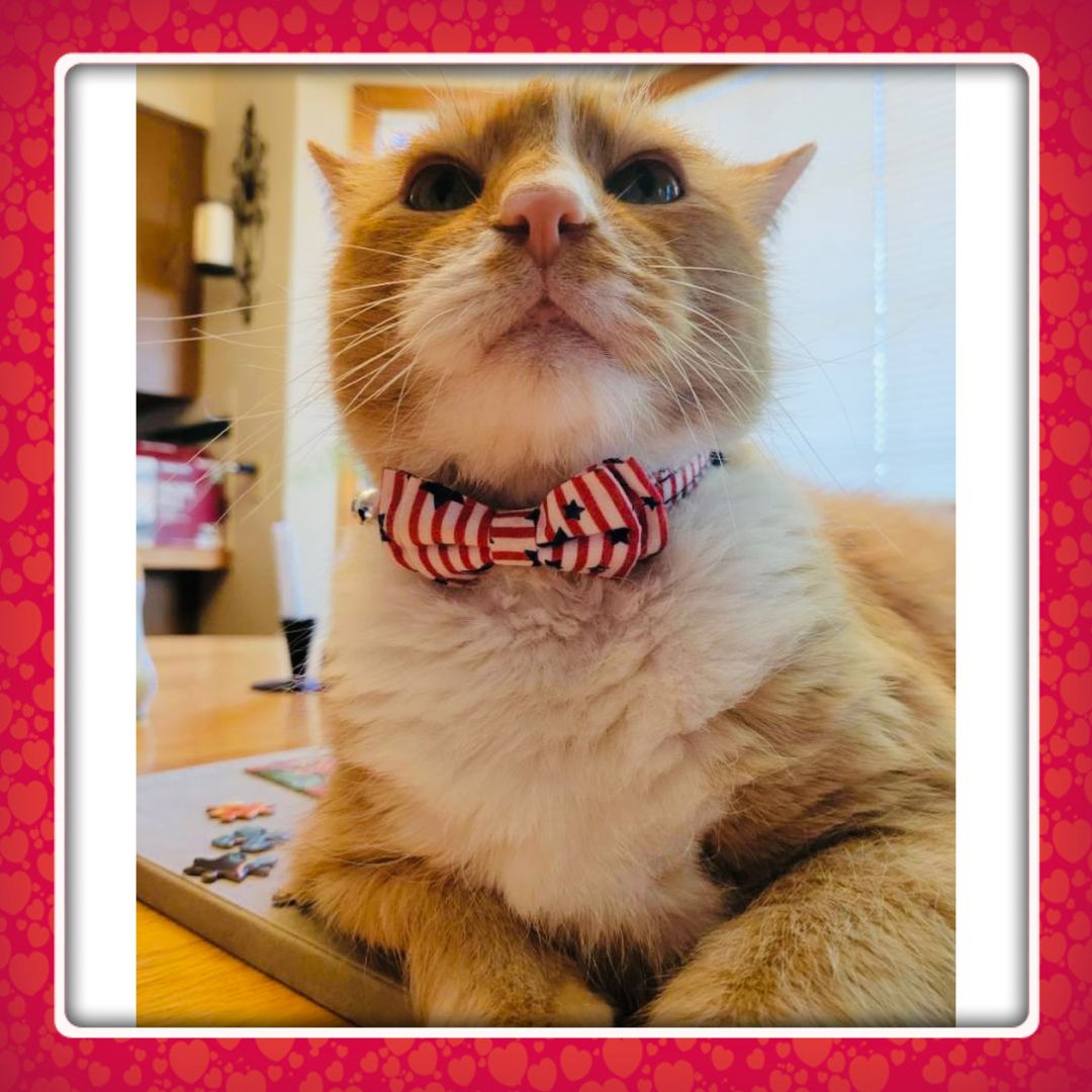 Cindy’s Secondhand Stories