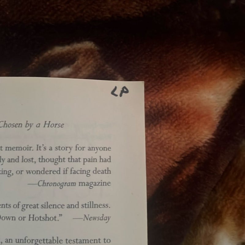 Chosen by a Horse
