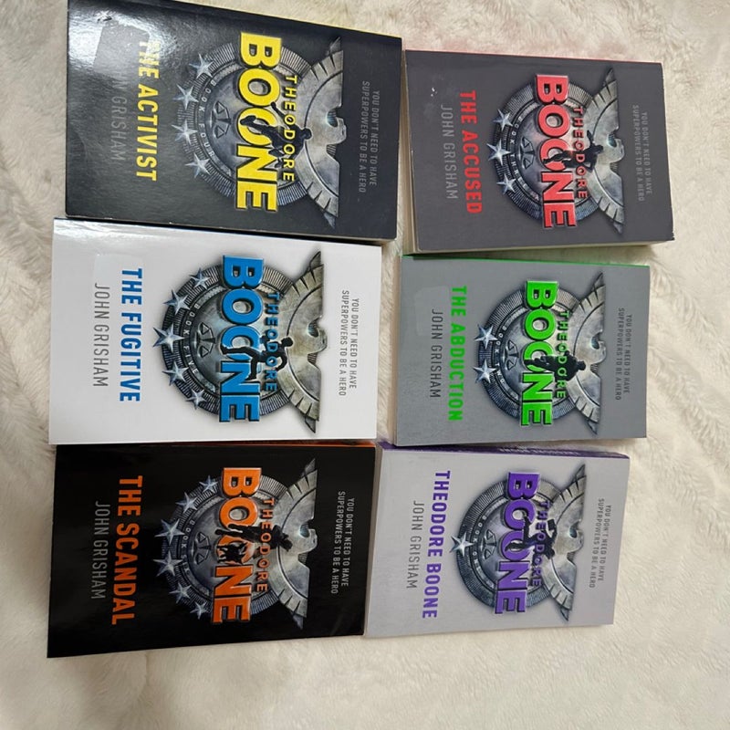 Theodore Boone Series