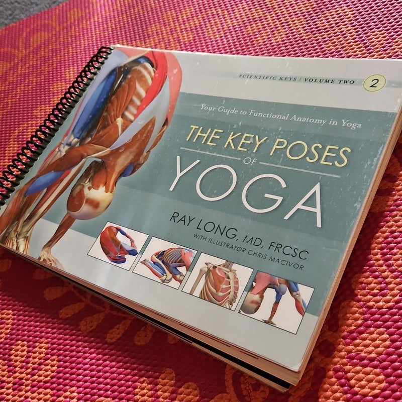 The Key Poses of Yoga