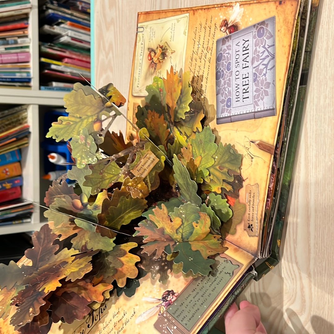 How to Find Flower Fairies by Cicely Mary Barker, Hardcover