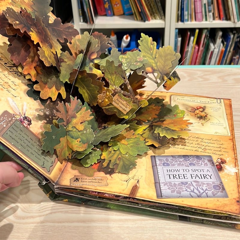 How to Find Flower Fairies