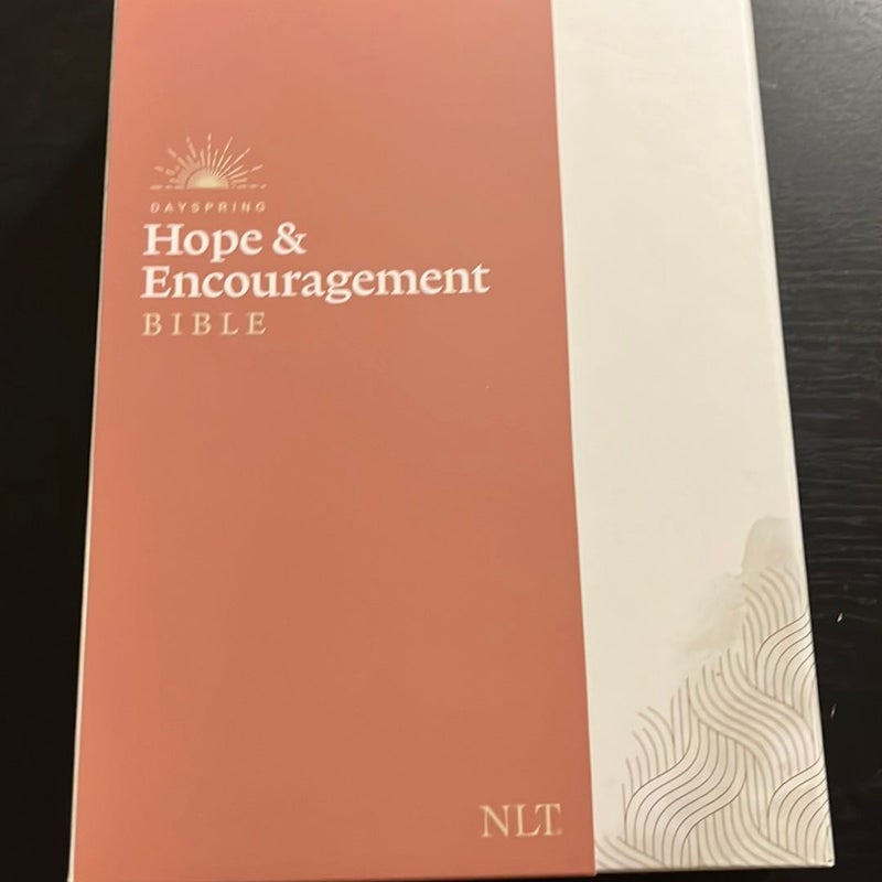 NLT DaySpring Hope and Encouragement Bible (Hardcover Deluxe, Seafoam Green)