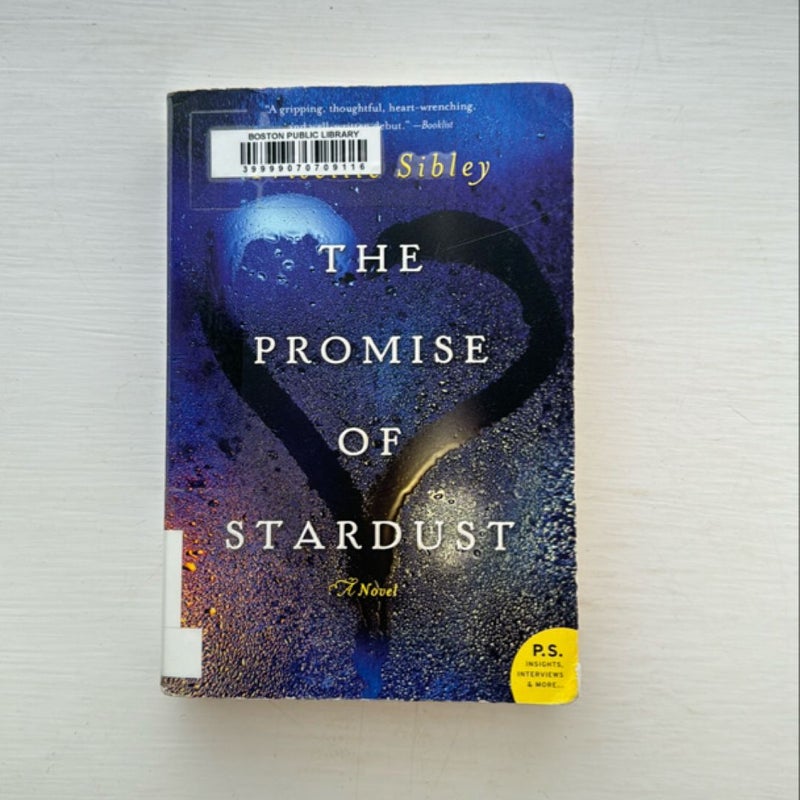 The Promise of Stardust