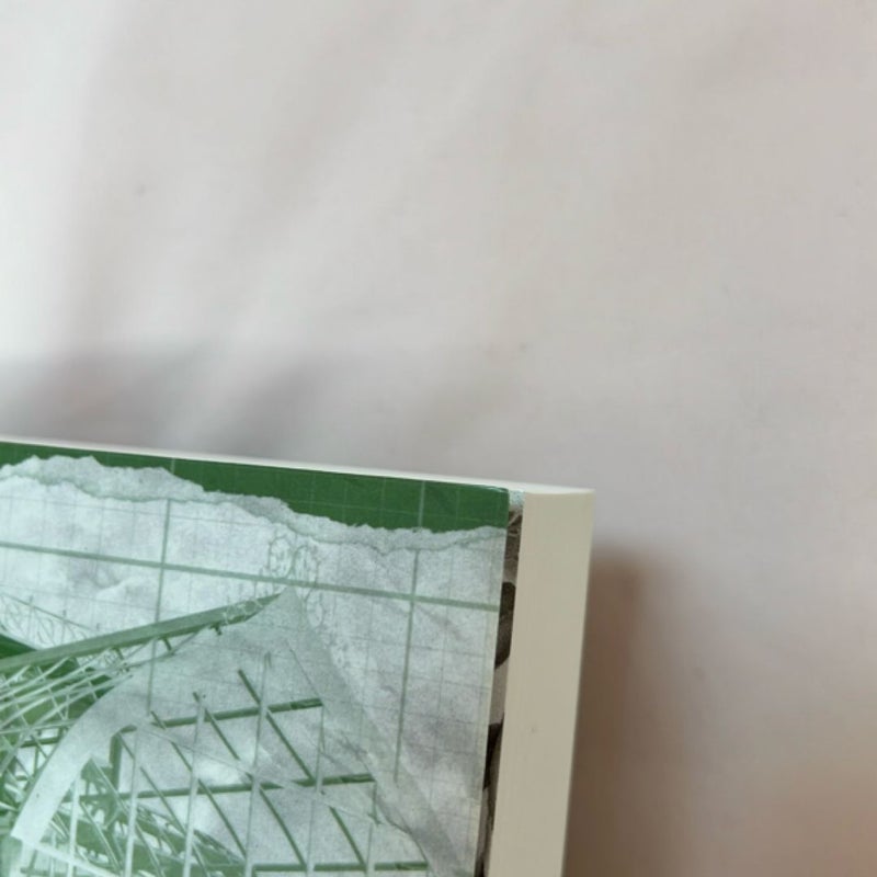 Terms and Conditions OOP Indie (Dreamland Billionaires Book 2)