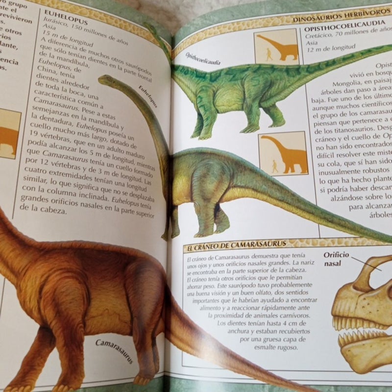 Encyclopedia of Dinosaurs